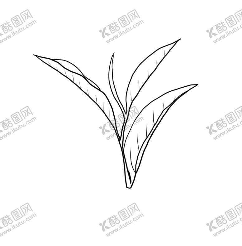 编号：55065010062203148816【酷图网】源文件下载-茶叶