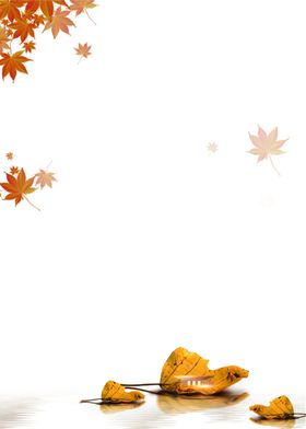 秋天落叶