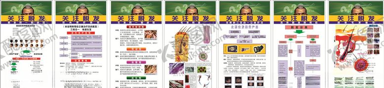 编号：23972209250218588189【酷图网】源文件下载-脱发