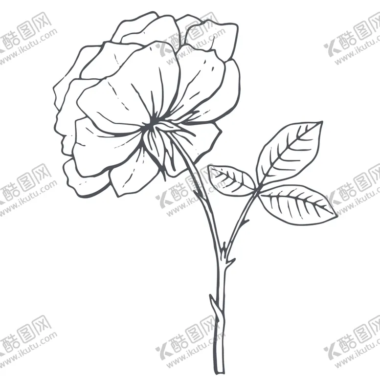 编号：34854406240619378453【酷图网】源文件下载-手绘植物