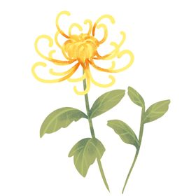 重阳节素材
