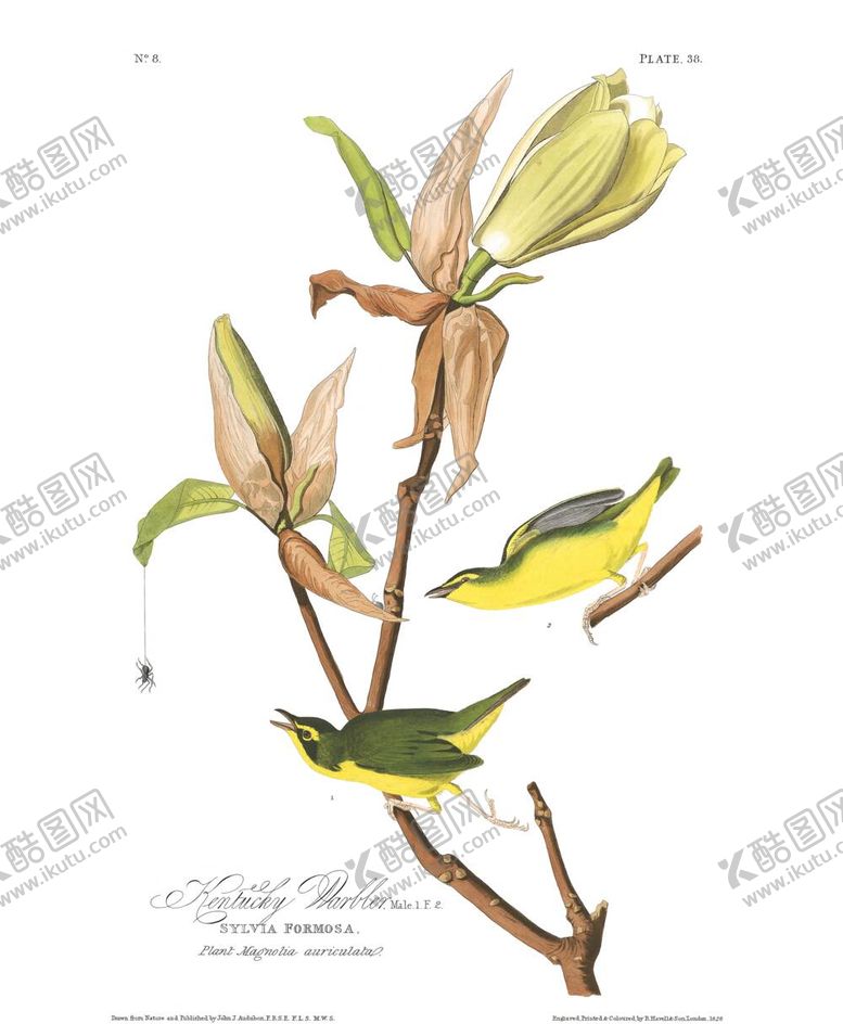 编号：63336912050151359670【酷图网】源文件下载-油画