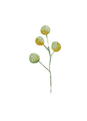 水粉花卉素材花型