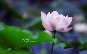 唯美走廊风景图片