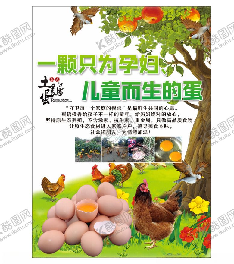 编号：56989604101128058538【酷图网】源文件下载-土鸡蛋