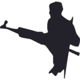 武术格斗剪影