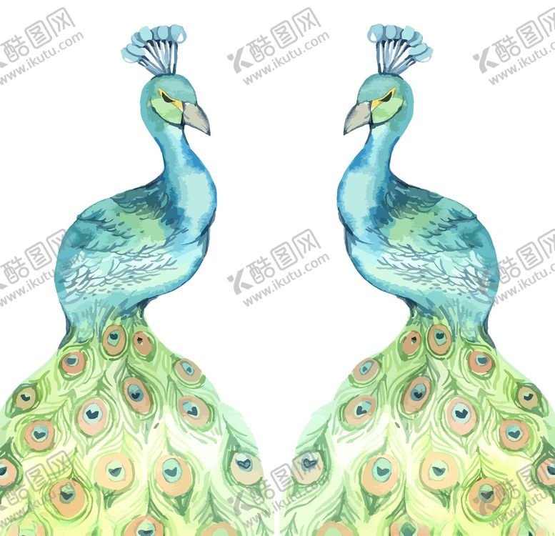 编号：45868209220058299701【酷图网】源文件下载-孔雀