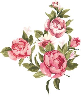 玫瑰月季手绘花