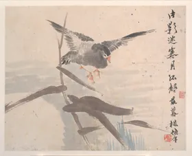 花鸟国画图案