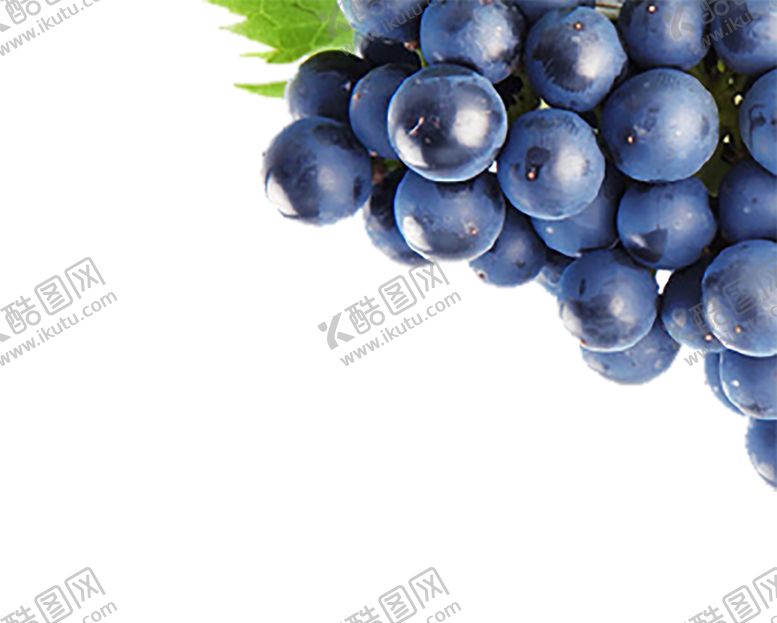 编号：24386209131704583561【酷图网】源文件下载-水果