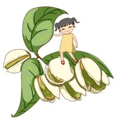 卡通开心果手绘图片