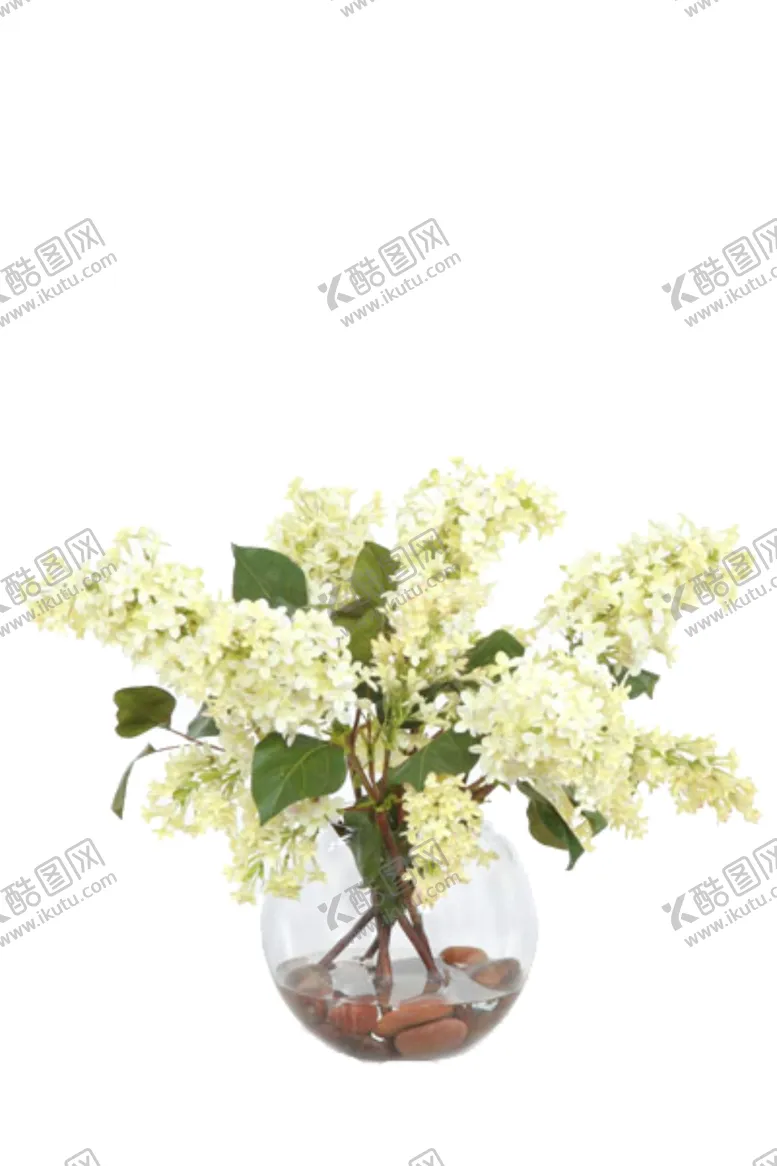 编号：27230206182125192605【酷图网】源文件下载-免抠背景花草树木