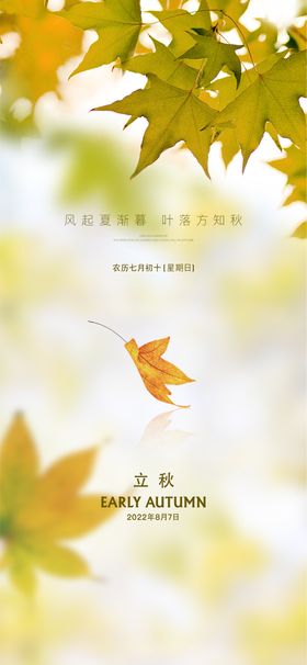 立秋节气海报二十四房地产枫叶