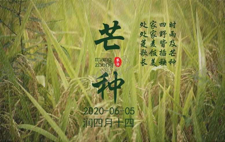 编号：45257005191033259683【酷图网】源文件下载-芒种