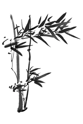 竹子素材