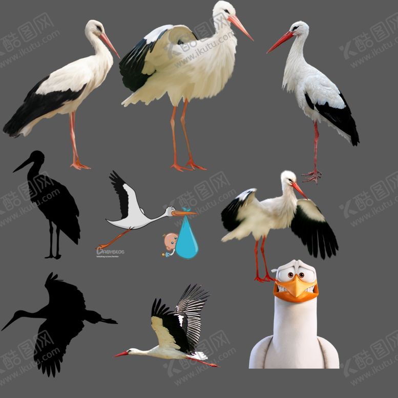 编号：79342906171116065546【酷图网】源文件下载-鹳png免扣图片