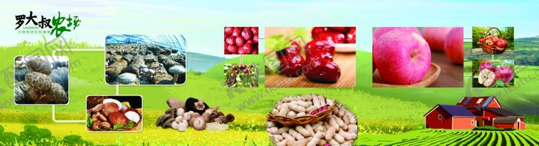 编号：96391409292245121060【酷图网】源文件下载-农产品