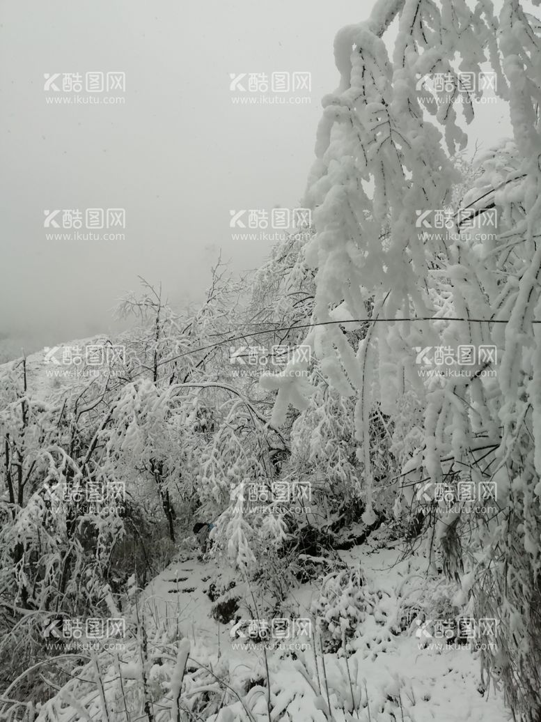 编号：23855412200124586403【酷图网】源文件下载-白雪