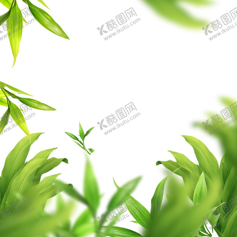 编号：40723609160741591804【酷图网】源文件下载-树叶素材