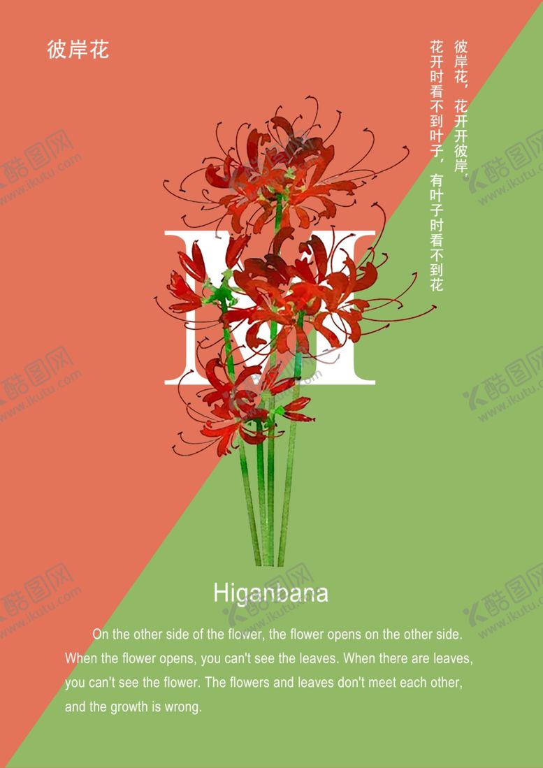 编号：22294507132233508339【酷图网】源文件下载-彼岸花海报花海报