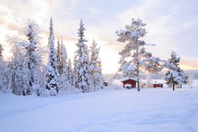 冬季雪景