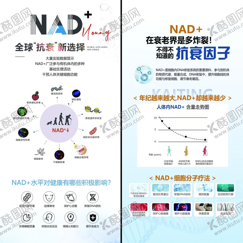 编号：91462704250807265396【酷图网】源文件下载-NAD产品宣传