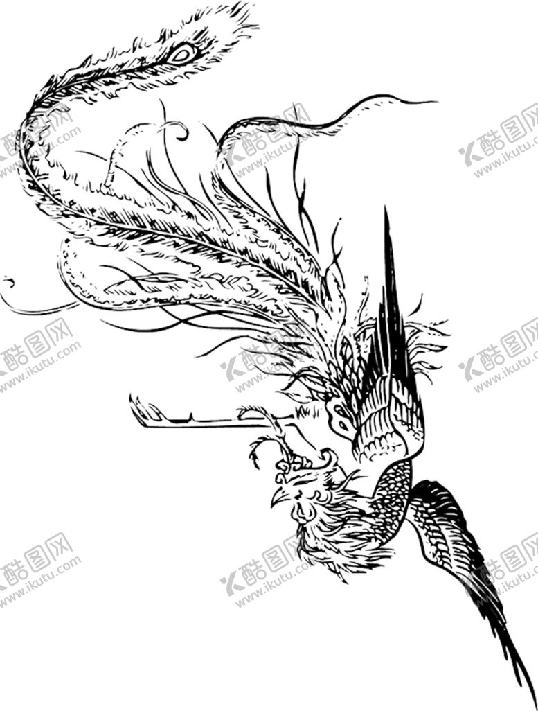 编号：48893304270112123579【酷图网】源文件下载-手绘水彩凤凰