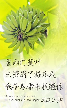 芭蕉