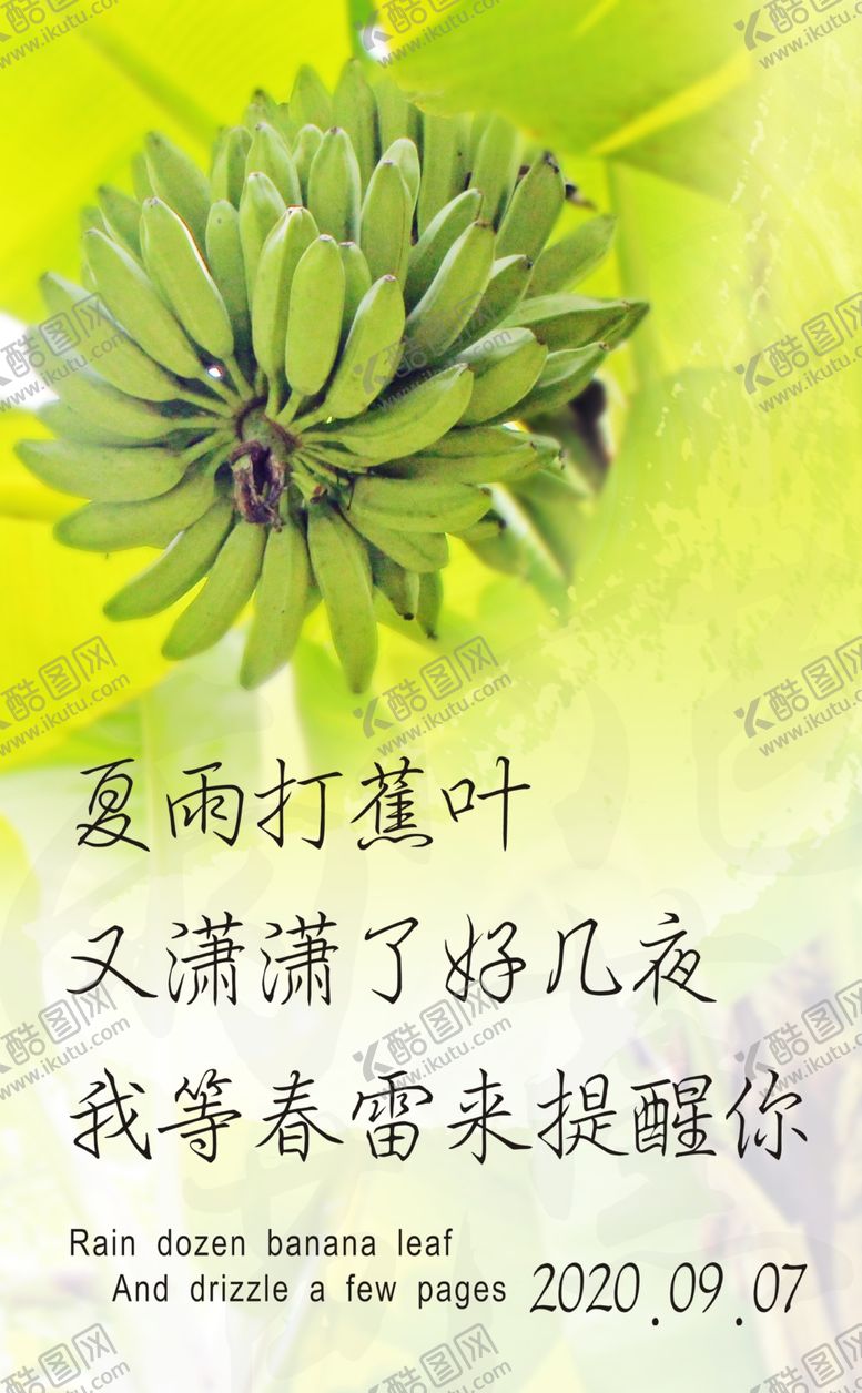 编号：83232909281738232091【酷图网】源文件下载-芭蕉