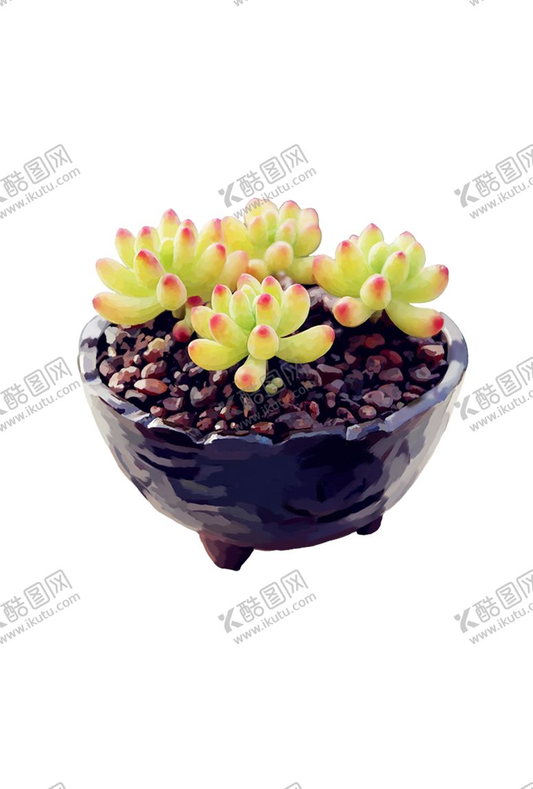 编号：38217502041339239185【酷图网】源文件下载-png格式植物花卉手绘素材