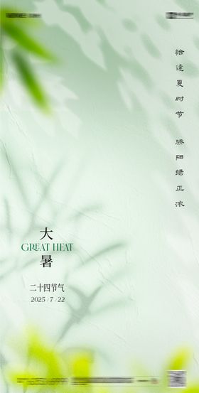 大暑荷叶天空
