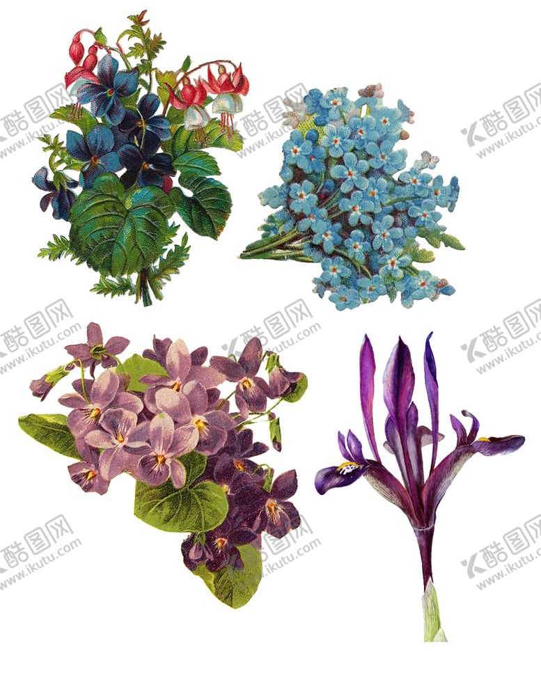 编号：49512609212234545397【酷图网】源文件下载- 花素材   