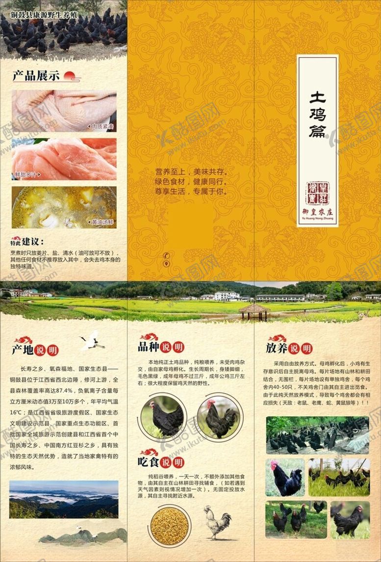 编号：98256502030457569604【酷图网】源文件下载-土鸡折页