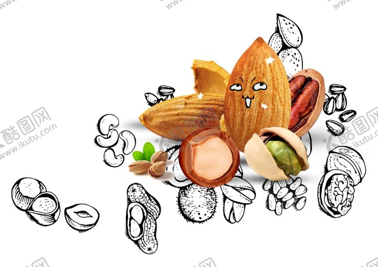 编号：79220910022254224284【酷图网】源文件下载-PNG手绘坚果素材