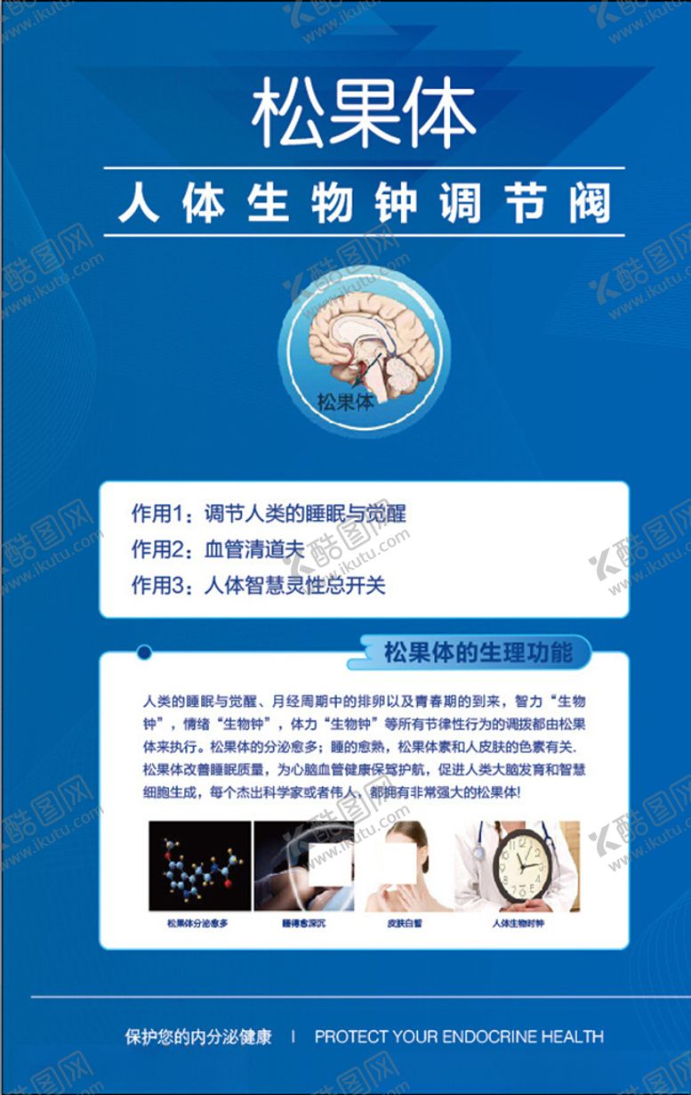 编号：45544509152322016236【酷图网】源文件下载-美容院