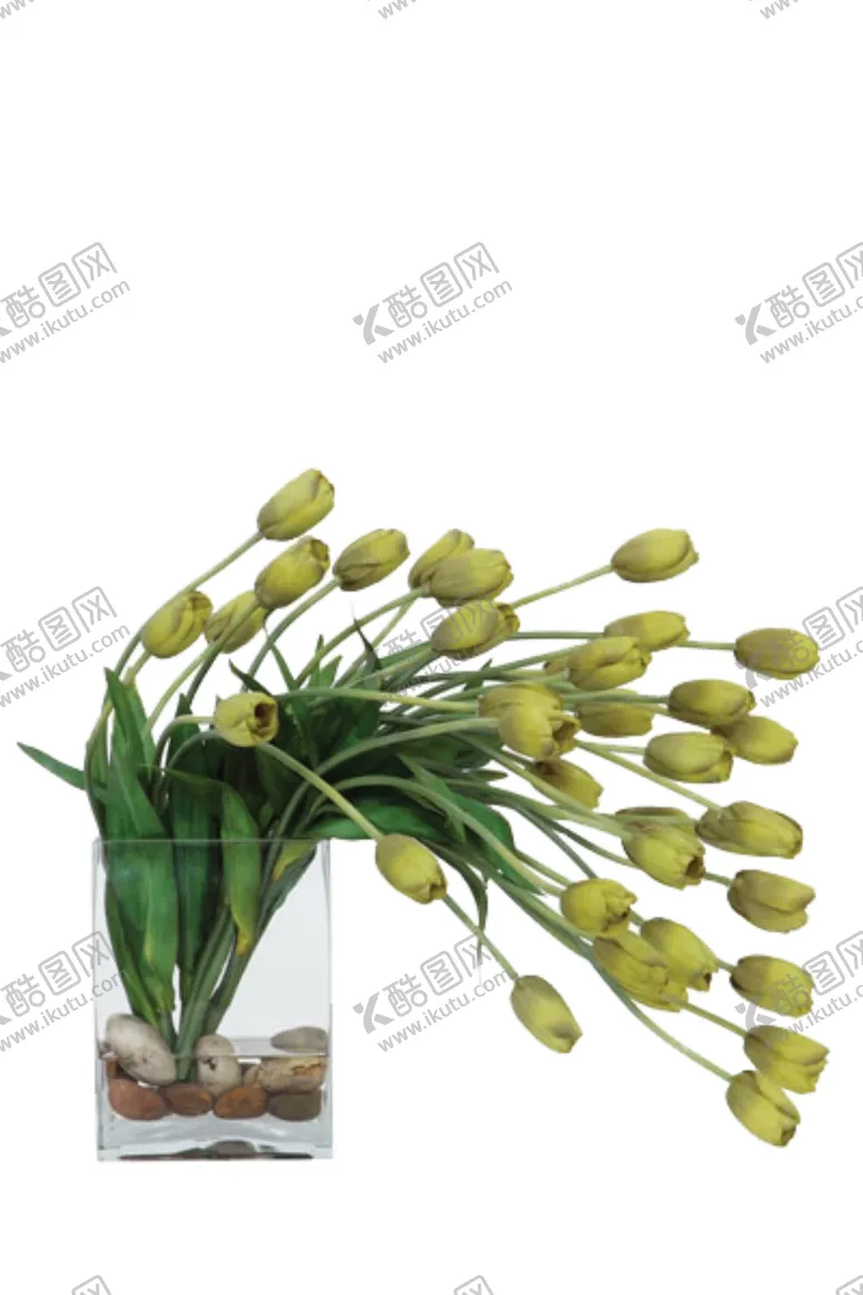 编号：74522206272157371668【酷图网】源文件下载-免抠背景花草树木