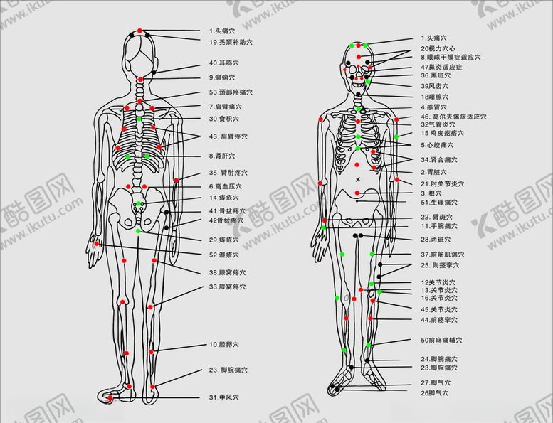 编号：10976703260643443569【酷图网】源文件下载-穴位图