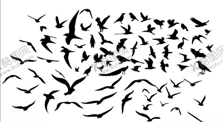 编号：82588310150708123158【酷图网】源文件下载-鸟类剪影