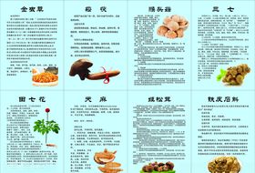 药材简介