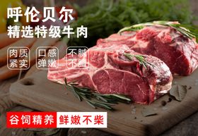 精选牛肉