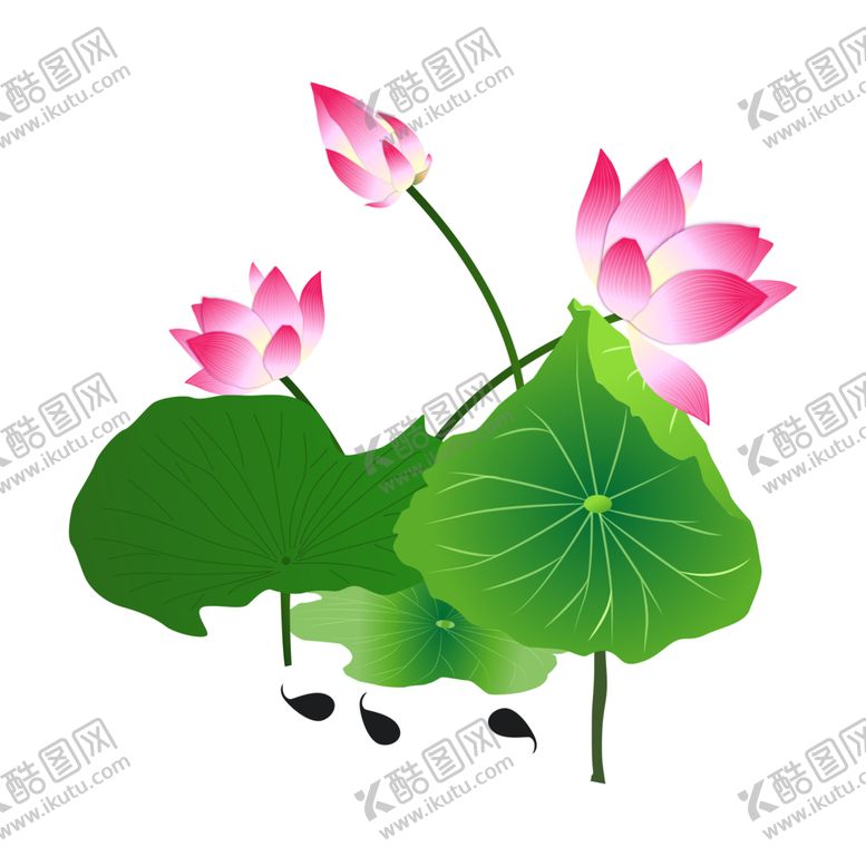 编号：56984405041700437716【酷图网】源文件下载-荷花元素