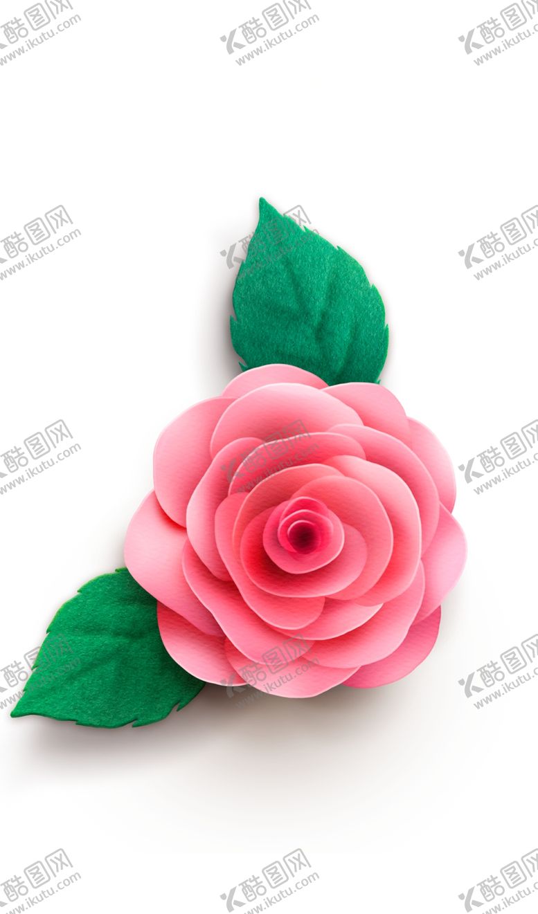 编号：35082607030116249135【酷图网】源文件下载-玫瑰花