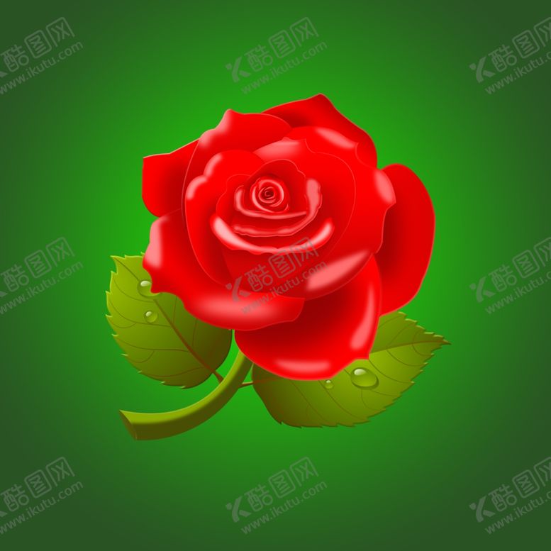 编号：36163406290637004832【酷图网】源文件下载-玫瑰花