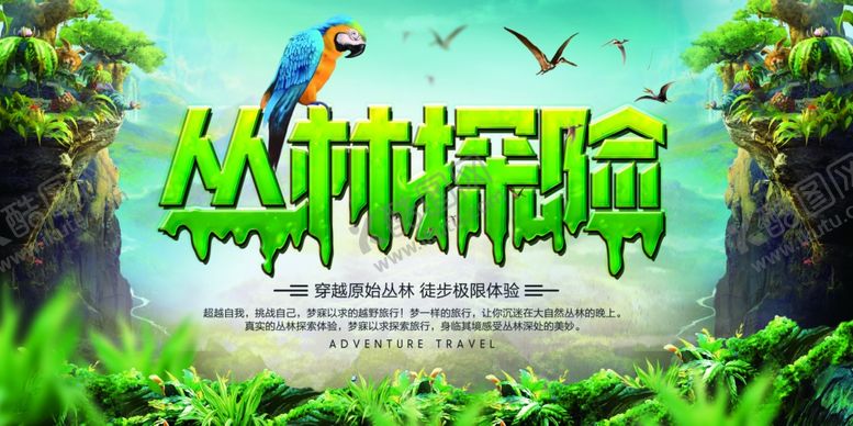 编号：76113210100255207683【酷图网】源文件下载-丛林探险海报
