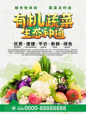 有机蔬菜