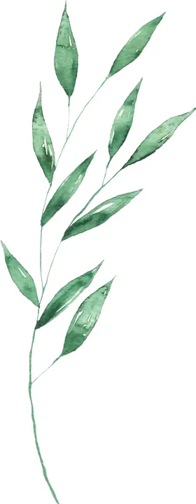 海报元素花草元素展架元素