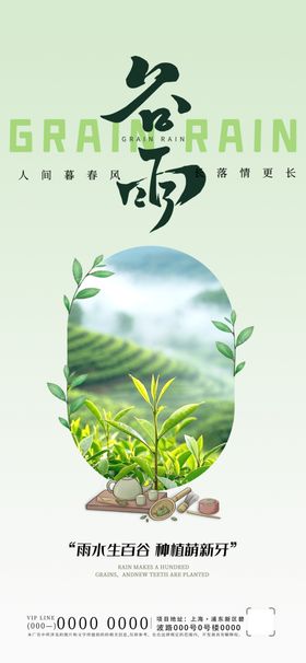 谷雨海报绿色