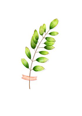 水彩植物