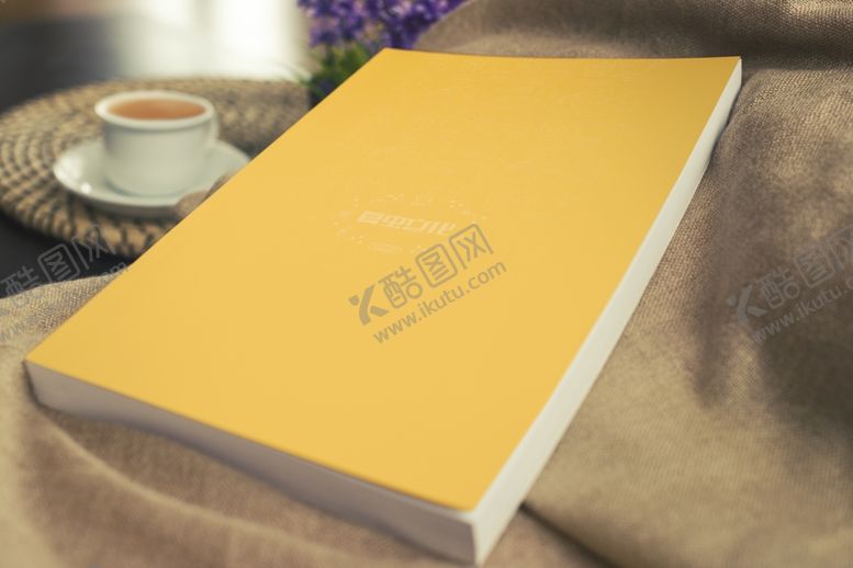 编号：18657005041835433039【酷图网】源文件下载-画册样机