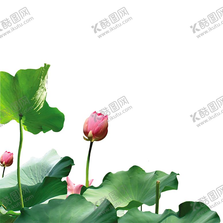 编号：27927509150653253527【酷图网】源文件下载-绿色相框